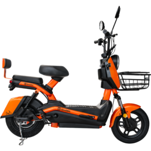 Ecomobil X5